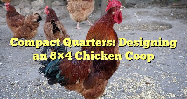 Compact Quarters: Designing an 8×4 Chicken Coop 